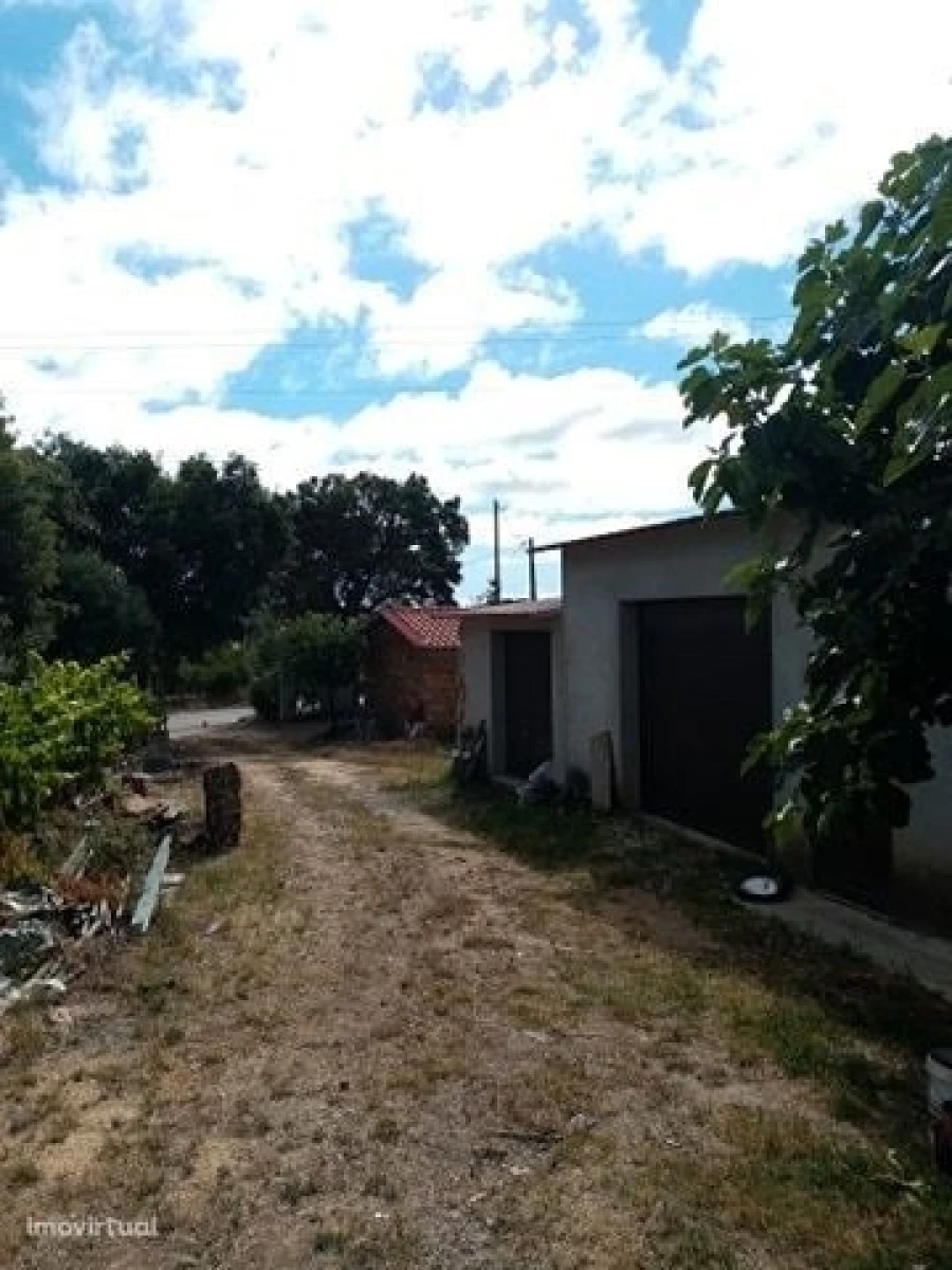 Quinta para Venda em Mação, Penhascoso e Aboboreira Foto 32