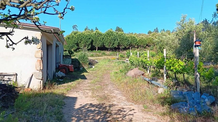 Quinta para Venda em Mação, Penhascoso e Aboboreira