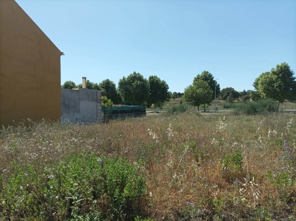 Terreno para Venda em Mação, Penhascoso e Aboboreira Foto 4