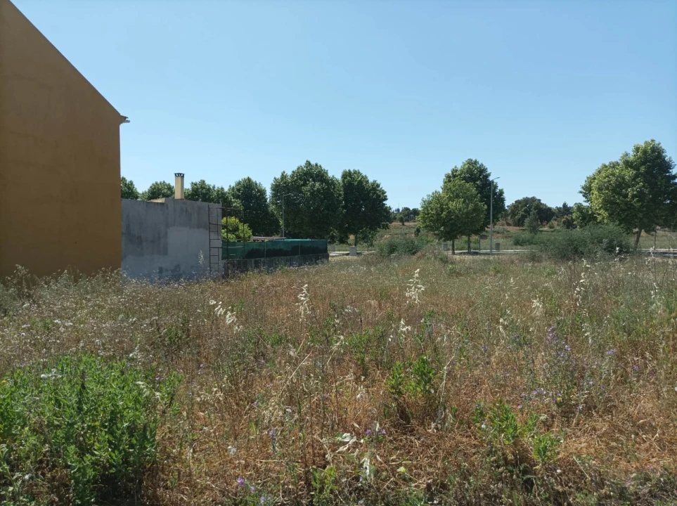 Terreno para Venda em Mação, Penhascoso e Aboboreira Foto 6