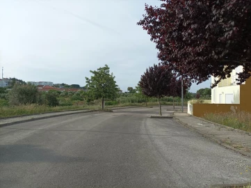 Terreno para Venda em Mação, Penhascoso e Aboboreira