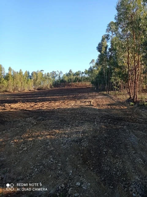 Terreno para Venda em Mação, Penhascoso e Aboboreira