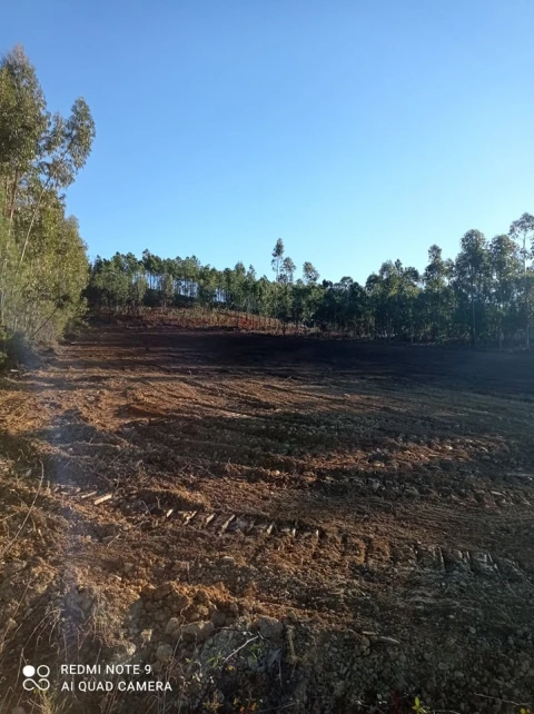 Terreno para Venda em Mação, Penhascoso e Aboboreira