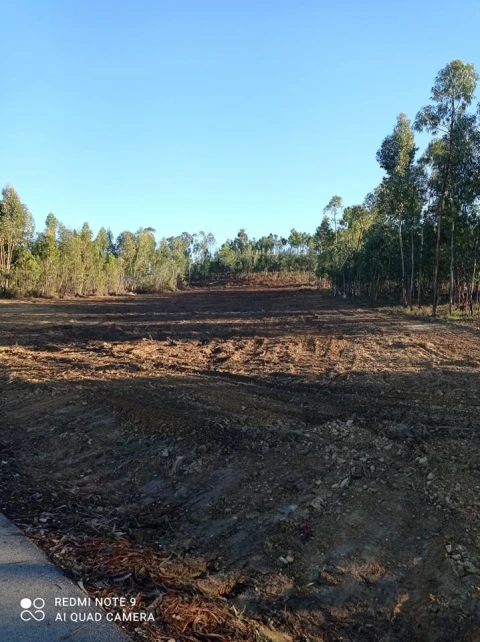 Terreno para Venda em Mação, Penhascoso e Aboboreira