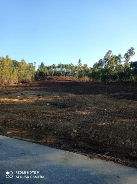 Terreno para Venda em Mação, Penhascoso e Aboboreira