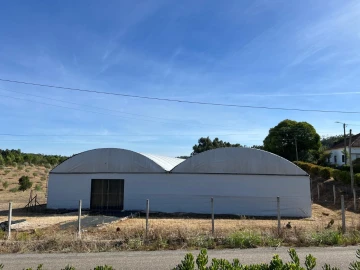 Terreno para Arrendamento em Alcaravela