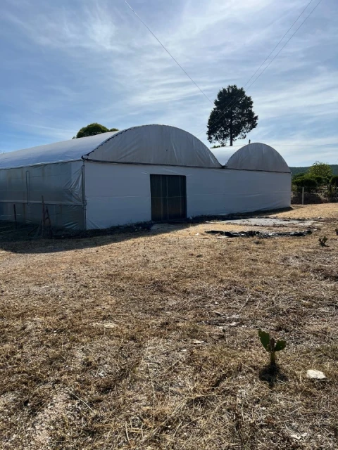 Terreno para Arrendamento em Alcaravela