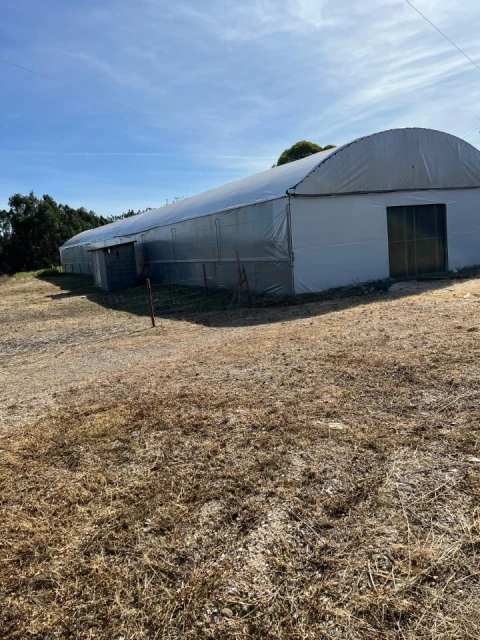 Terreno para Arrendamento em Alcaravela