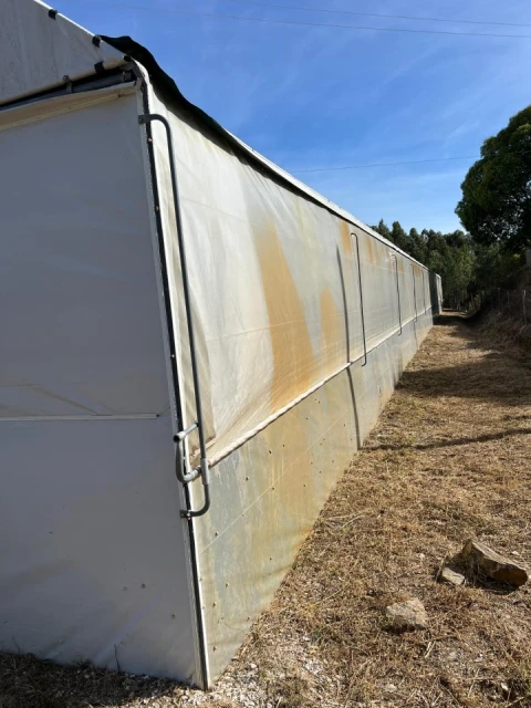 Terreno para Arrendamento em Alcaravela