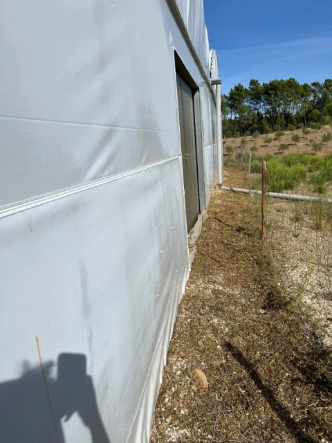 Terreno para Arrendamento em Alcaravela