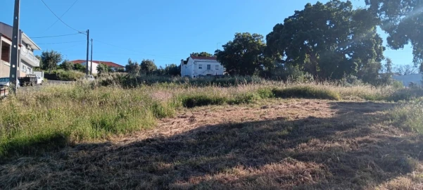 Terreno para Venda em Mação, Penhascoso e Aboboreira