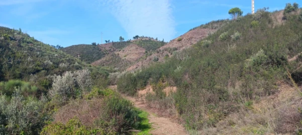 Terreno Agricola ou Rústico para Venda em Ortiga
