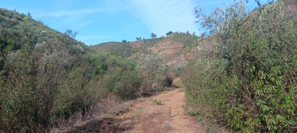 Terreno Agricola ou Rústico para Venda em Ortiga