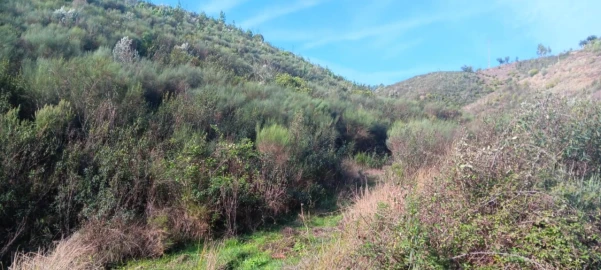 Terreno Agricola ou Rústico para Venda em Ortiga