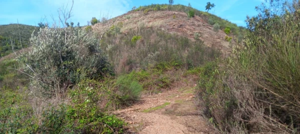 Terreno Agricola ou Rústico para Venda em Ortiga