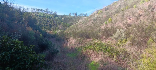 Terreno Agricola ou Rústico para Venda em Ortiga