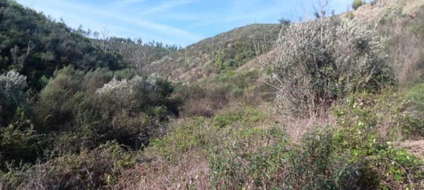 Terreno Agricola ou Rústico para Venda em Ortiga