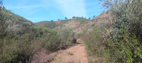 Terreno Agricola ou Rústico para Venda em Ortiga