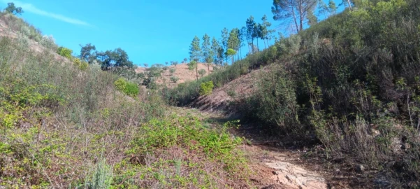 Terreno Agricola ou Rústico para Venda em Ortiga