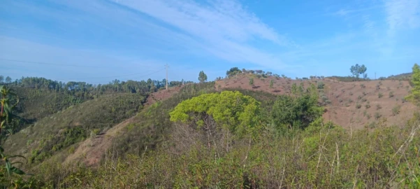 Terreno Agricola ou Rústico para Venda em Ortiga