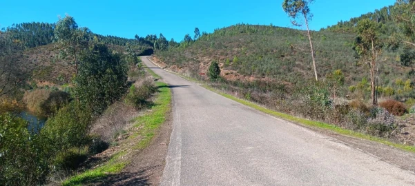 Terreno Agricola ou Rústico para Arrendamento em Envendos