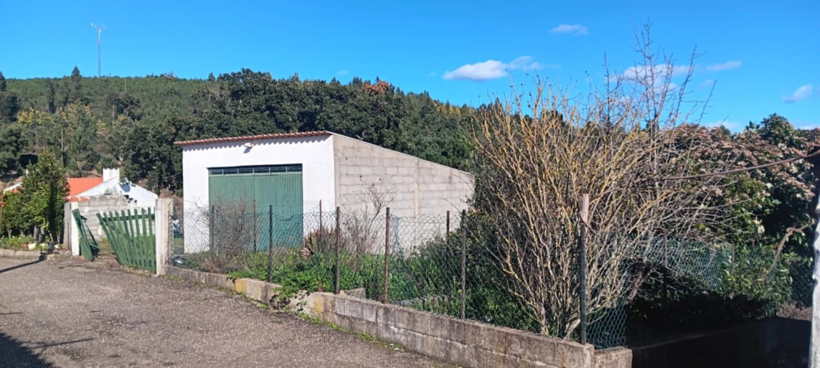 Terreno Misto para Arrendamento em Carvoeiro Foto 1