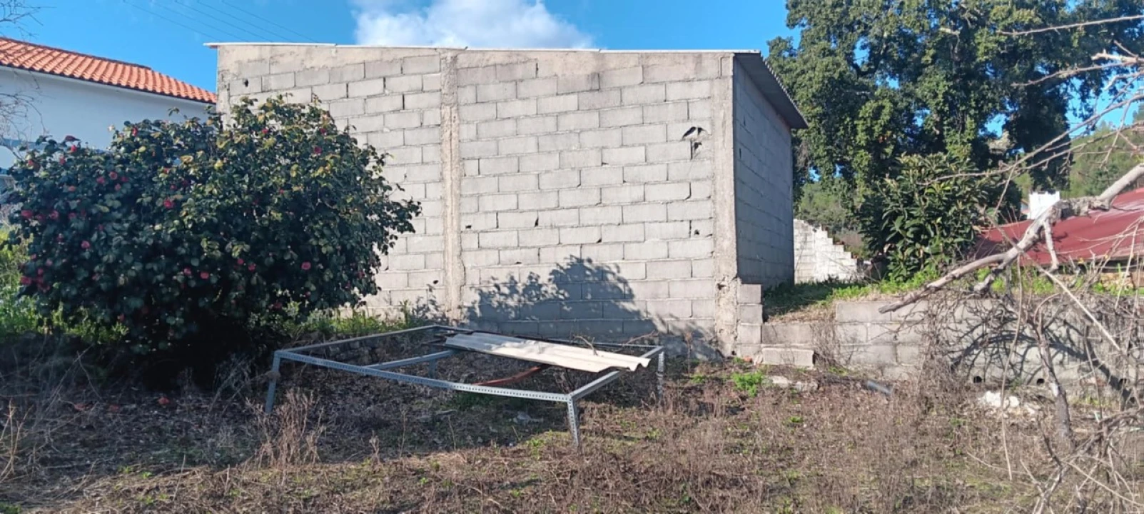 Terreno Misto para Arrendamento em Carvoeiro Foto 6