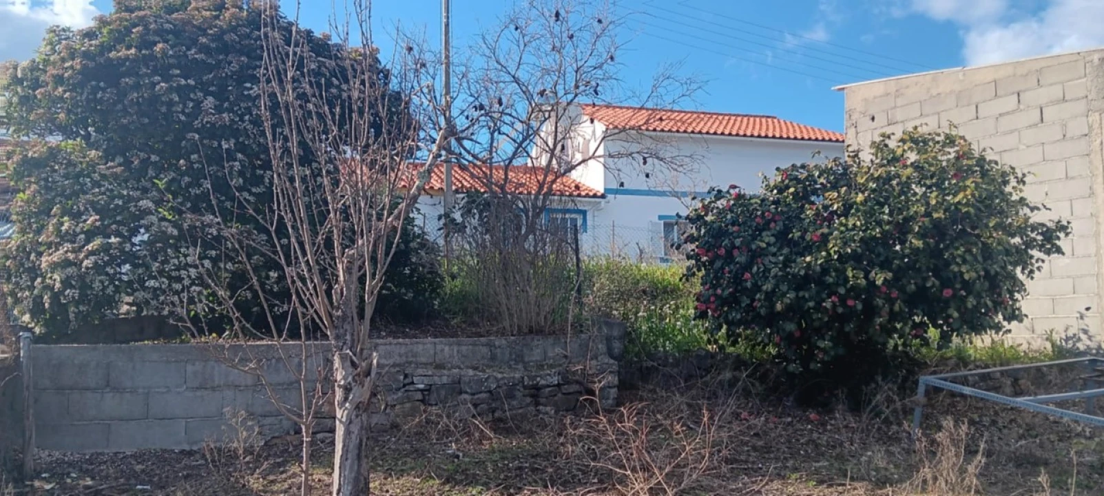 Terreno Misto para Arrendamento em Carvoeiro Foto 7