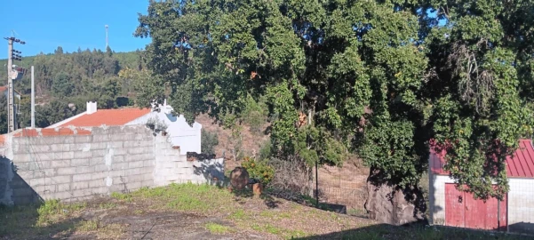 Terreno Misto para Arrendamento em Carvoeiro