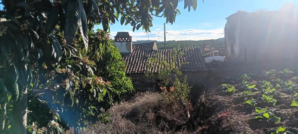 Moradia T2 para Venda em Carvoeiro