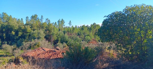 Moradia T2 para Venda em Carvoeiro