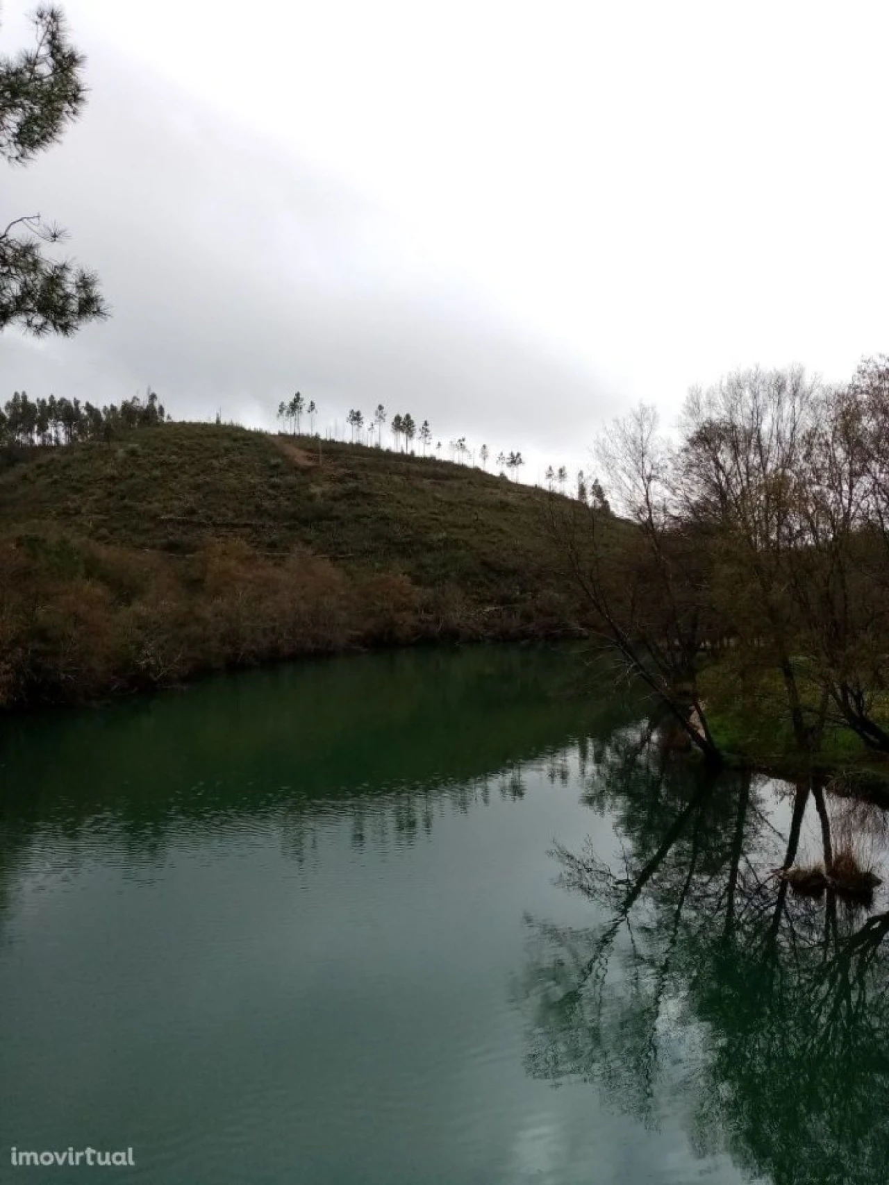 Terreno para Venda em Belver Foto 8