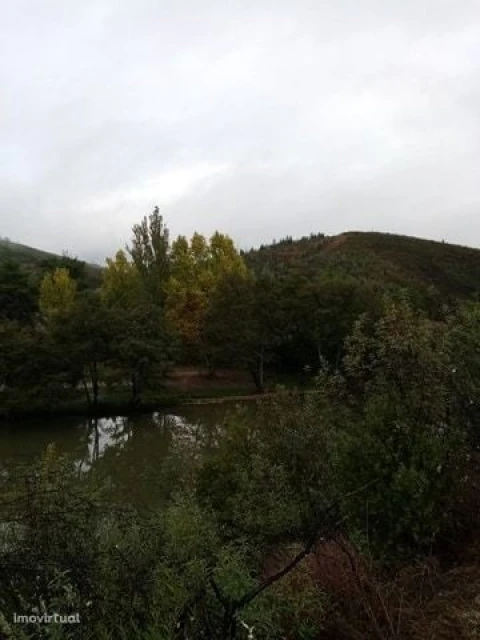 Terreno para Venda em Belver