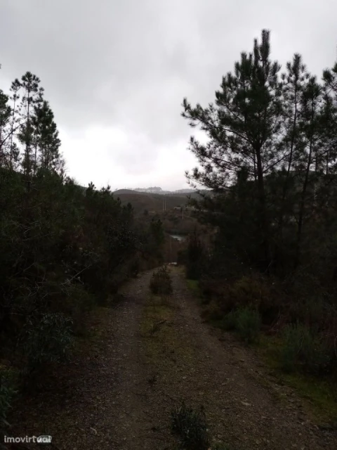 Terreno para Venda em Belver
