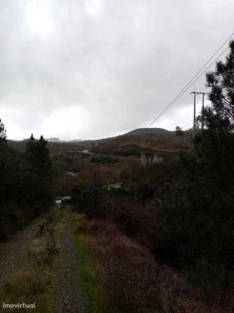 Terreno para Venda em Belver