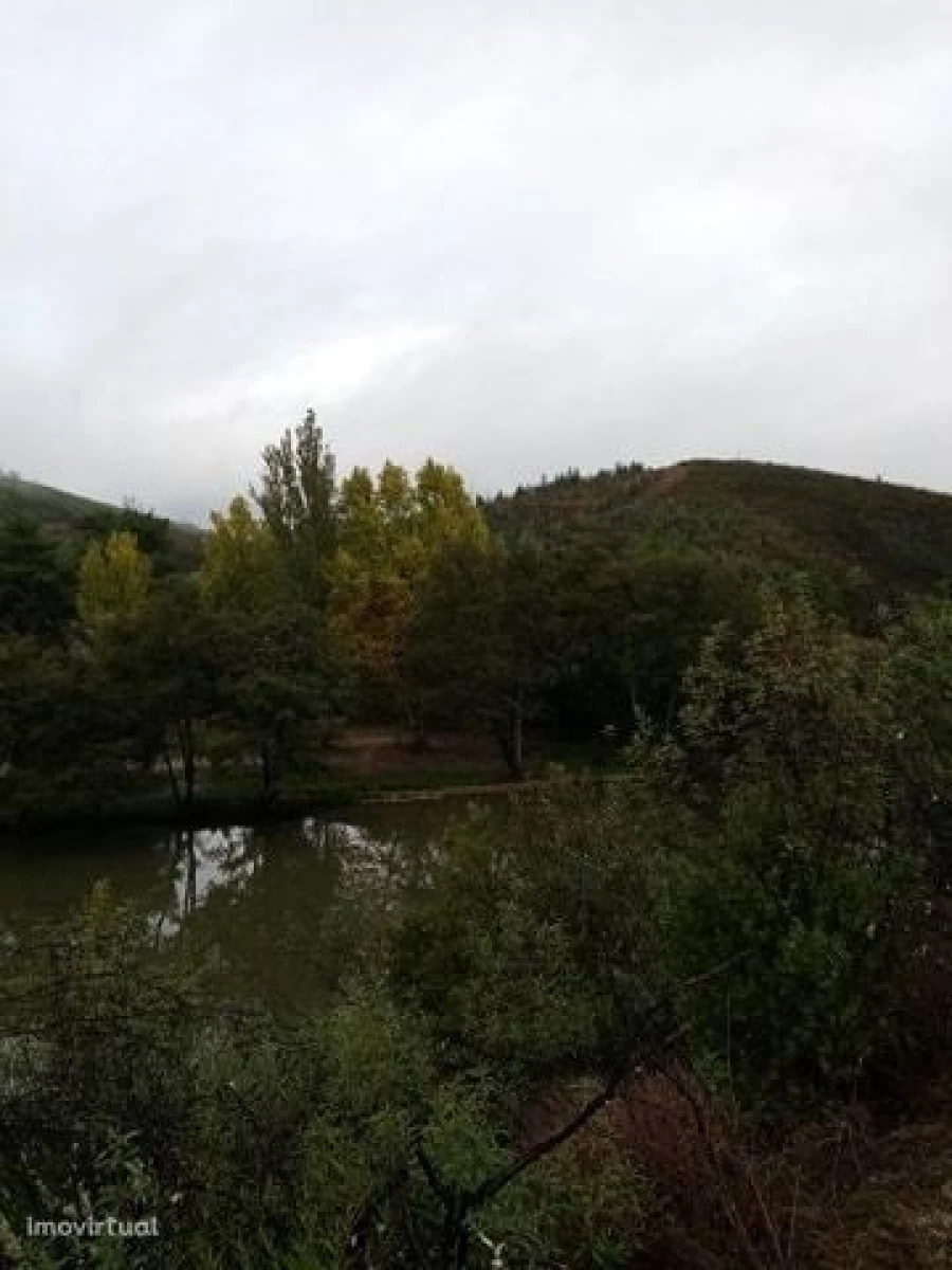 Terreno para Venda em Belver Foto 6
