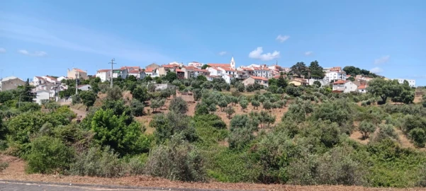 Terreno para Venda em Mação, Penhascoso e Aboboreira