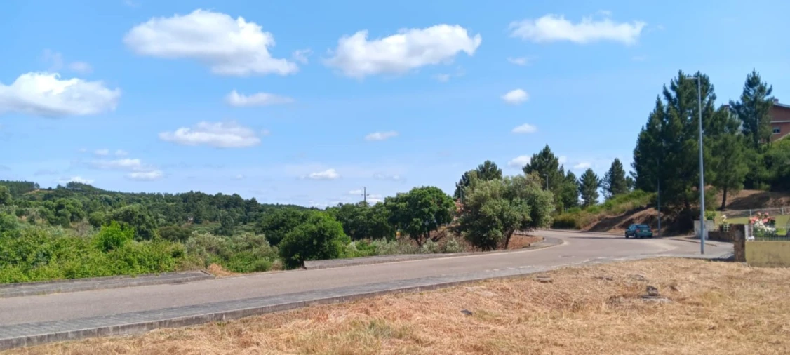 Terreno para Venda em Mação, Penhascoso e Aboboreira Foto 14