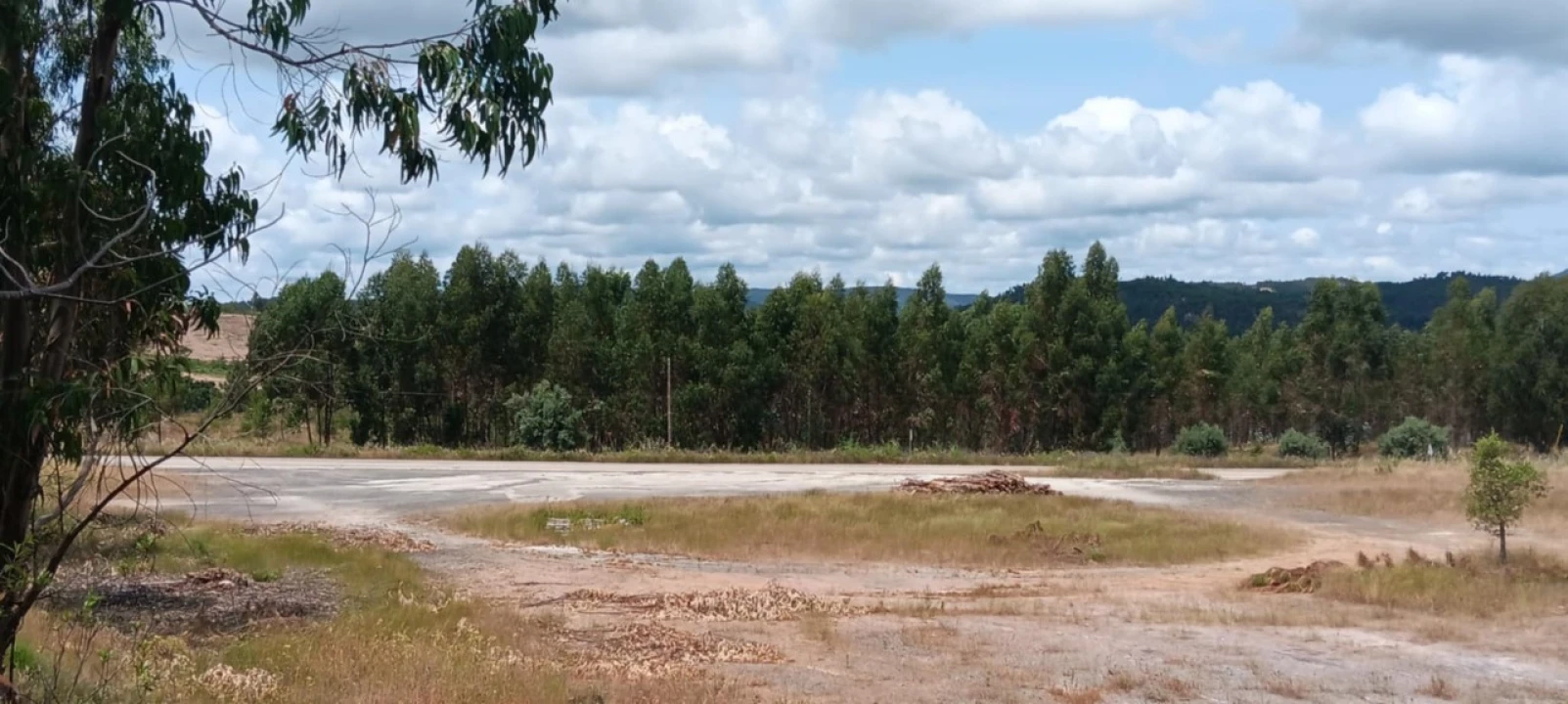 Terreno para Arrendamento em Mação, Penhascoso e Aboboreira Foto 8