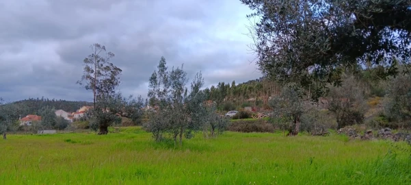 Terreno Agricola ou Rústico para Venda em Mação, Penhascoso e Aboboreira