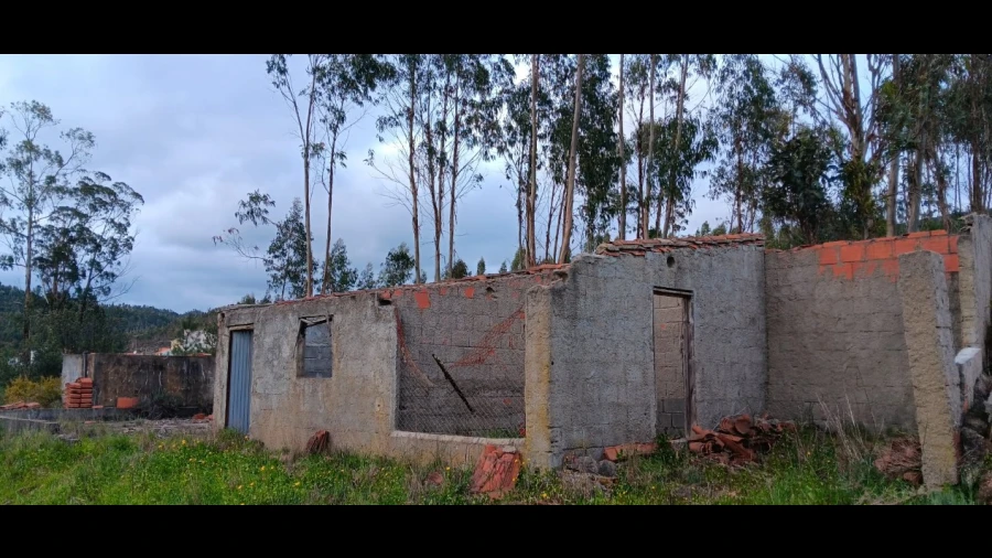 Terreno Agricola ou Rústico para Venda em Mação, Penhascoso e Aboboreira