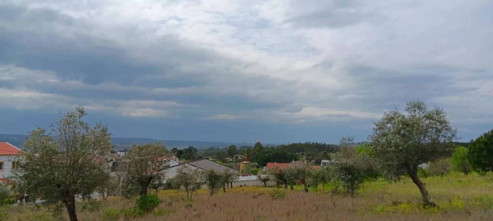 Terreno para Venda em Ortiga Foto 10