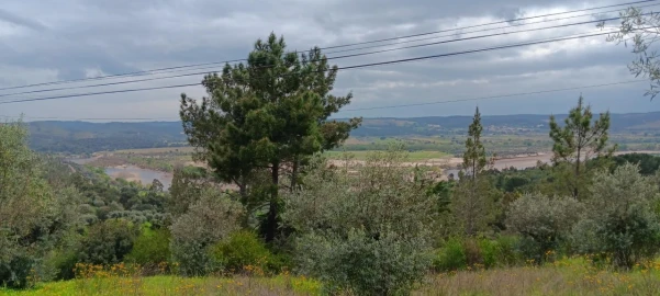 Terreno para Venda em Ortiga