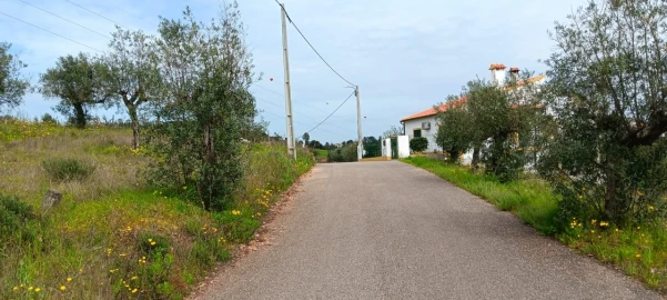 Terreno para Venda em Ortiga