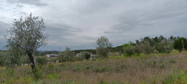Terreno para Venda em Ortiga