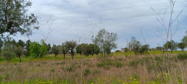 Terreno para Venda em Ortiga