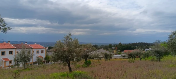 Terreno para Venda em Ortiga