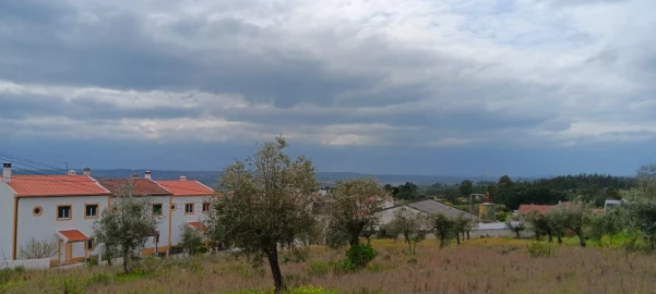 Terreno para Venda em Ortiga