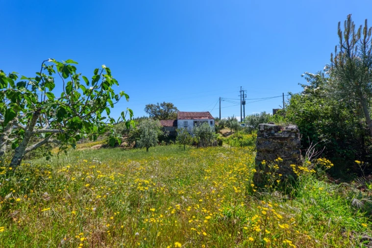 Moradia T3 para Venda em Carvoeiro Foto 35