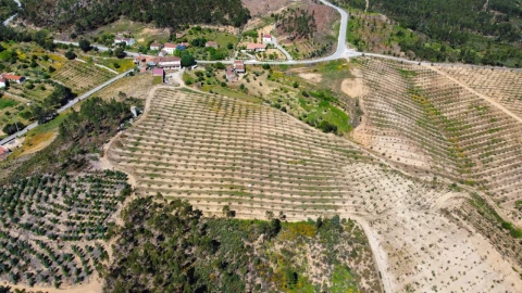 Quinta T9 para Venda em Carvoeiro